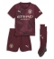 Fotbollsset Barn Manchester City Ilkay Gundogan #19 Tredje Tröja 2024-25 Mini-Kit Kortärmad (+ korta byxor)